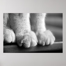 Pattes de légende affiche