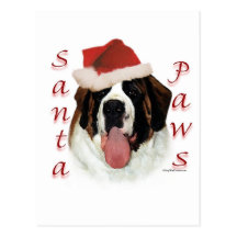 Pattes de St Bernard Père Noël Cartes Postales