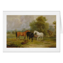 Pâturage de chevaux : Juments et poulains dans un  Cartes