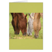 Pâturage de la carte de chevaux