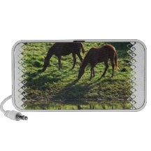 Pâturage des haut-parleurs de paires de cheval