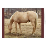 Pâturage du cheval de palomino cartes