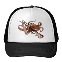 Paul le poulpe casquettes de camionneur