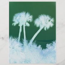 Paumes de neige prospectus
