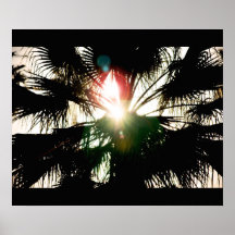 Paumes Posters