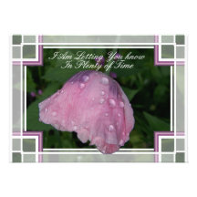 Pavot rose avec l'invitation de gouttes de pluie