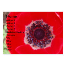 Pavot rouge cartes de visite personnelles
