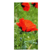 Pavot rouge photocarte