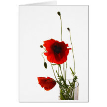 Pavots Cartes De Vœux