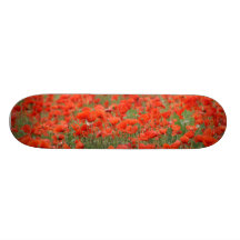 pavots skateboards personnalisables