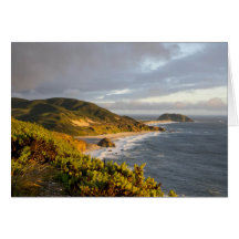 Paysage de parc national de Poin Lobos Cartes De Vœux