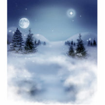 Paysage d'hiver photo sculpture