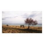paysage marin impressions photo