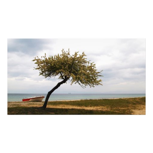 paysage marin photo d’art