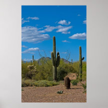 Paysage naturel 3994 de cactus affiches
