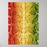 Peau de serpent d'arc-en-ciel affiche