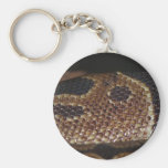 Peau de serpent porte-clef