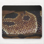 Peau de serpent tapis de souris