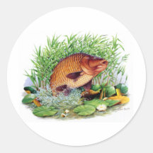 Pêche de carpe adhésif rond