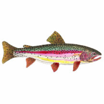 Pêche de mouche de truite découpage en acrylique