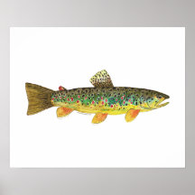 Pêche de truite de Brown Affiches