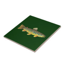Pêche de truite de Brown Carreaux