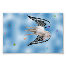 Pegasus volant magique blanc impression photo