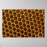 Peigne de cire d'abeille affiche