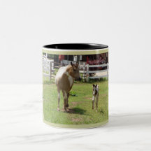 Peignez la jument et le poulain mugs