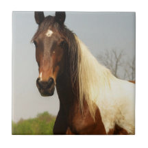 Peignez la tuile de cheval carreaux