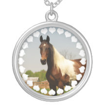 Peignez le collier de cheval