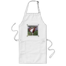 Peignez le tablier de poney
