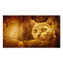 Peinture de caverne photographie