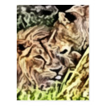 peinture de deux lions cartes postales