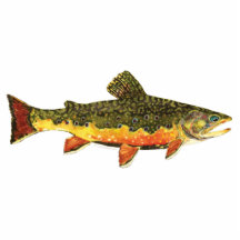 Peinture de poissons de truite de ruisseau photo en découpe