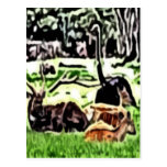 peinture de repos d'animaux sauvages cartes postales