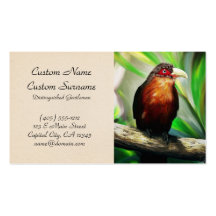 Peinture exotique colorée de cool tropical d'oisea cartes de visite professionnelles