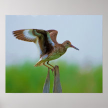 Peinture orientale de Willet Posters