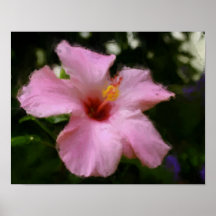 Peinture rose de photo d'art de fleur de ketmie poster