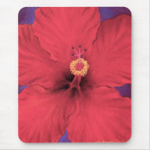 Peinture rouge de fleur de ketmie - multi tapis de souris