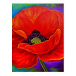 Peinture rouge de fleur de pavot - multi cartes postales