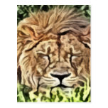 Peinture somnolente de lion cartes postales