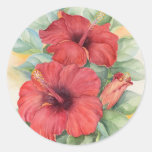 Peinture tropicale de fleur de ketmie rouge - mult adhésif rond