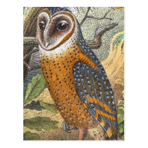 Peinture vintage de hibou de grange cartes postales