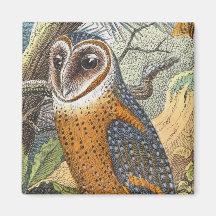 Peinture vintage de hibou de grange magnets