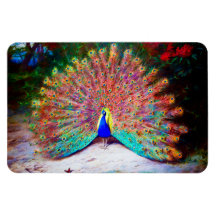 Peinture vintage de paon magnet en vinyle