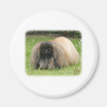 Pekingese 9Y218D-016 Magnets