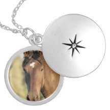 Pendentif de cheval de Morgan