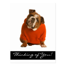 Pensée à vous carte postale anglaise de chiot de b