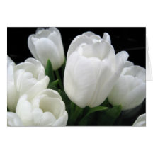 Pensée à vous - tulipes carte de vœux